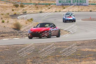 media/Oct-25-2025-West Coast Racing (Sat) [[9fdcbcd09c]]/Yellow group/Turn 4/